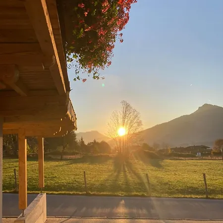 Anneliese Apartment Going am Wilden Kaiser