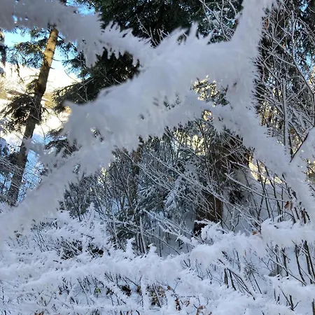 Anneliese Apartment Going am Wilden Kaiser